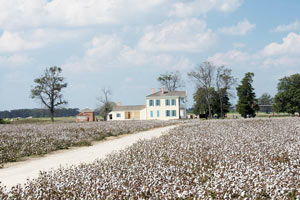 Plantations of the Mississippi River from Natchez to New Orleans