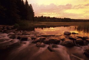 Lake Itasca and the Headwaters of the Mississippi River in Itasca State Park