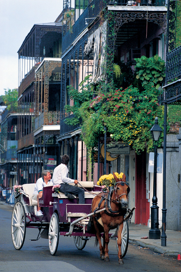 Carriage Ride in New Orleans