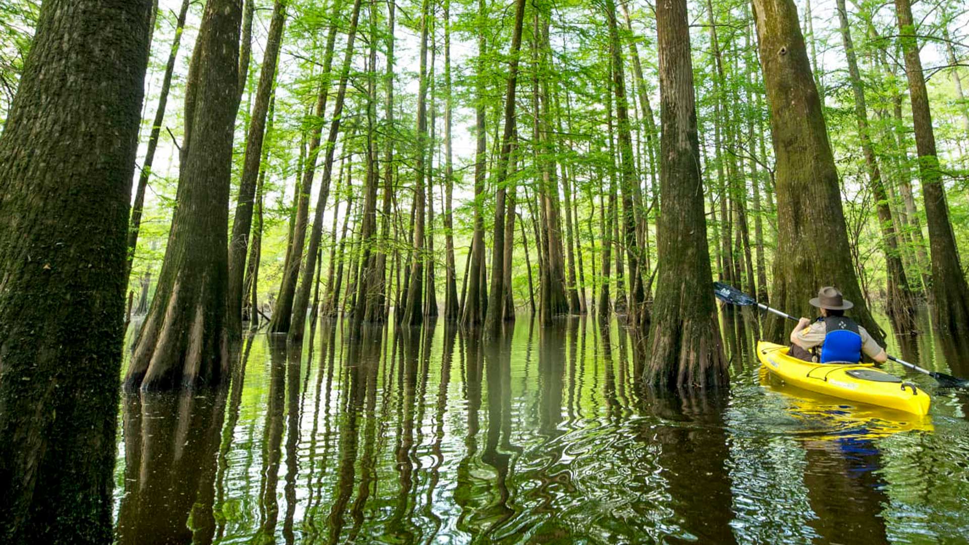 Kayaking at Mississippi River State Park Marianna Arkansas
